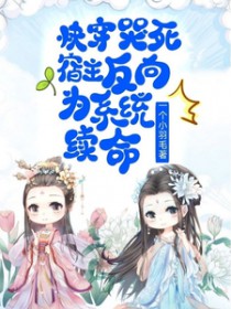 촩Ϊϵͳ