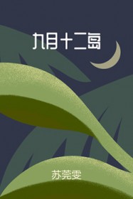 ʮ
