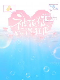 被顶级向导狂追 被顶级向导狂追