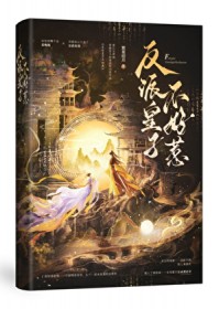 反派皇子不好惹 反派皇子不好惹