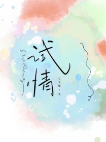 试情 试情