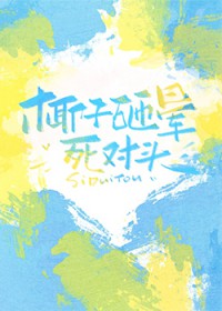 椰子砸晕死对头 椰子砸晕死对头