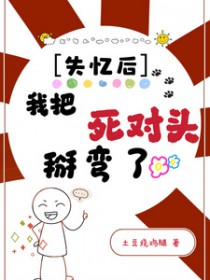 失忆后我把死对头掰弯了 失忆后我把死对头掰弯了