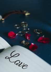 �����Σ���ƪ����