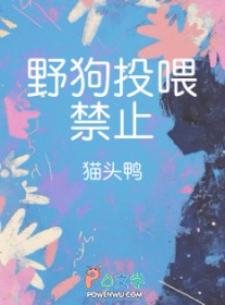 野狗投喂禁止 野狗投喂禁止