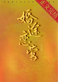 婚途恋莺 婚途恋莺