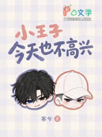 小王子今天也不高兴 小王子今天也不高兴