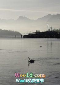 BTS防彈|你是我的黑天鵝(ALL珍) BTS防彈|你是我的黑天鵝(ALL珍)