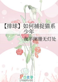 [] β׽èϵ